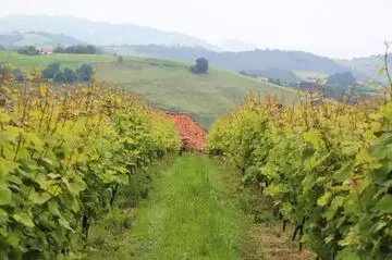 KitchenBridge I : Txakoli K-5 de Karlos Arguiñano